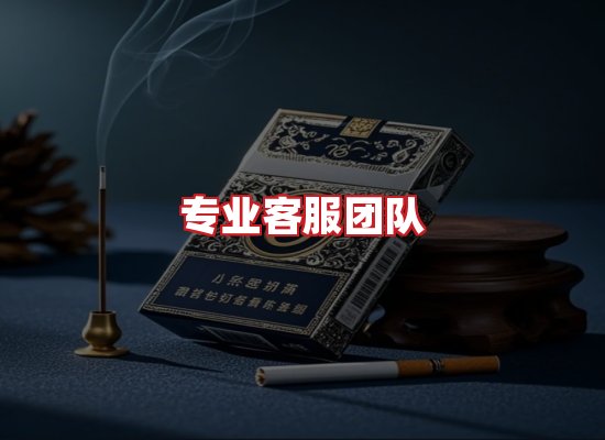 专业团队
